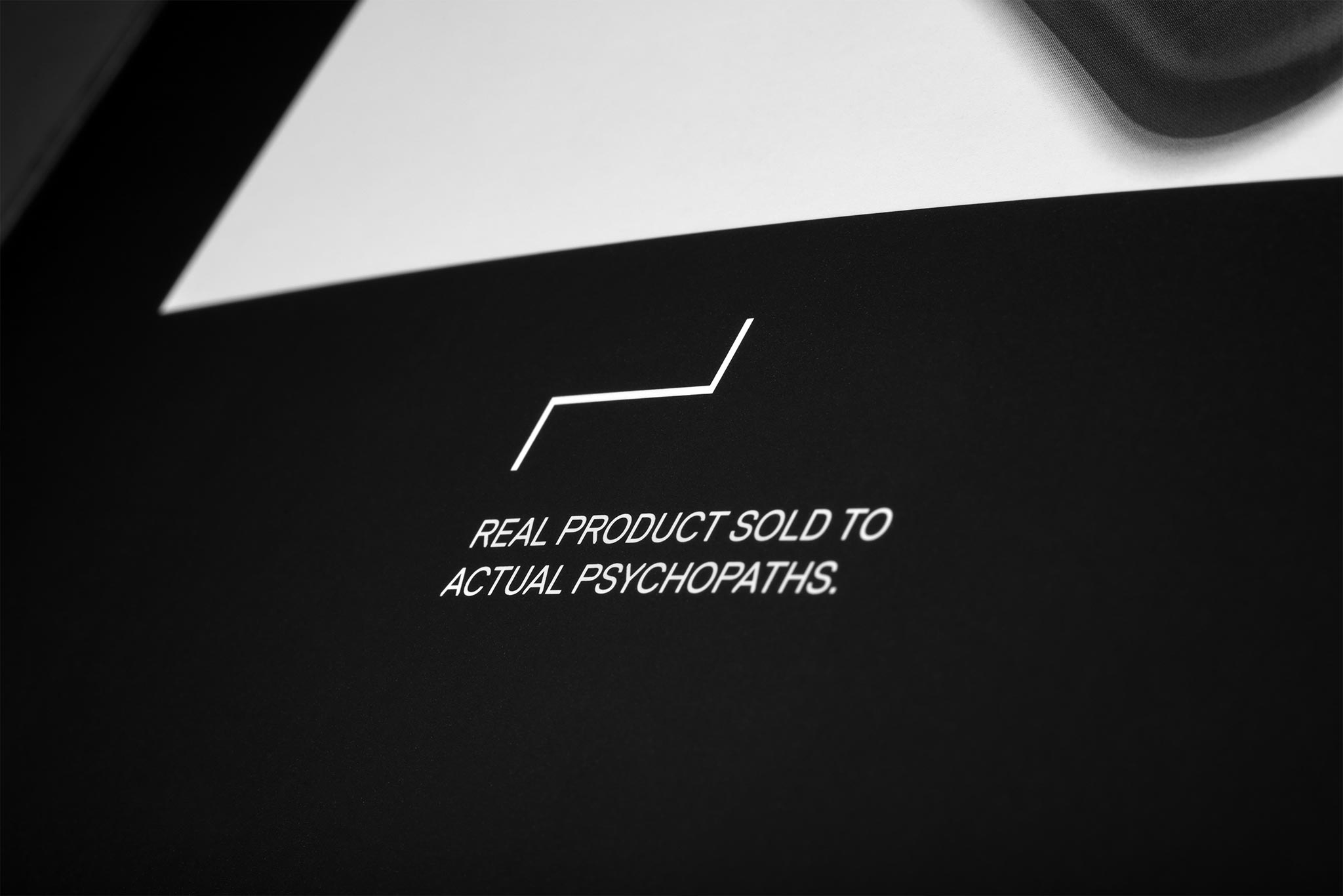 Close-up of dbrand Manifesto's page contents